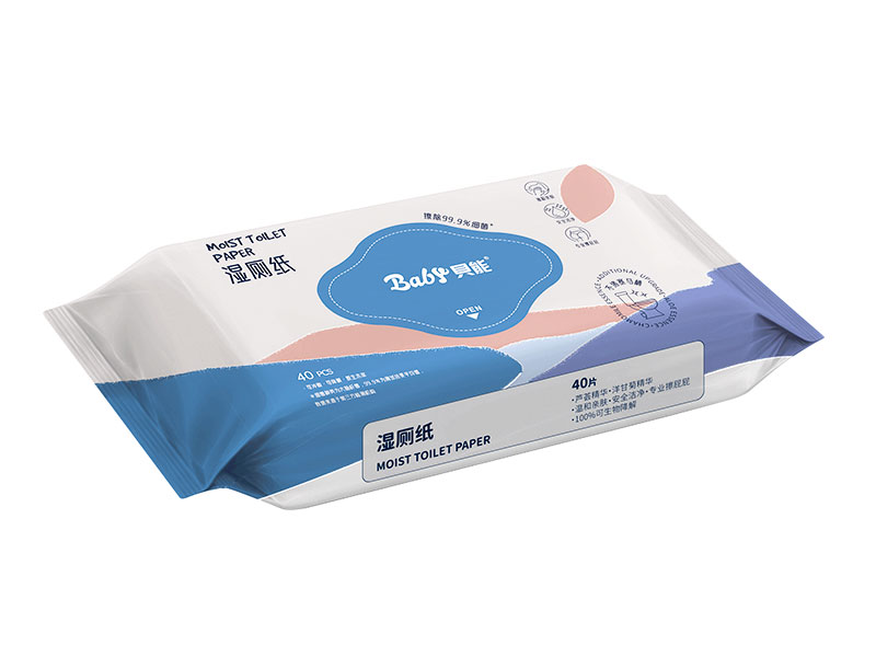 濕廁紙
